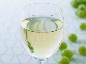 AI时代对比测试不同语音助手的优劣